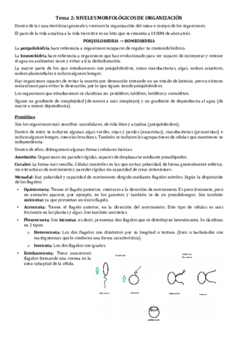 T02-Niveles-morfologicos-de-organizacion.pdf