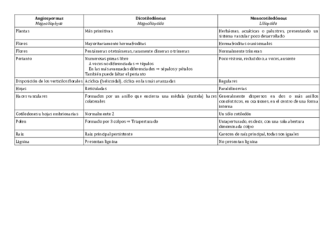 Esquemas De Las Diferencias Basicas Entre Los Distintos Grupos De Plantas Pdf