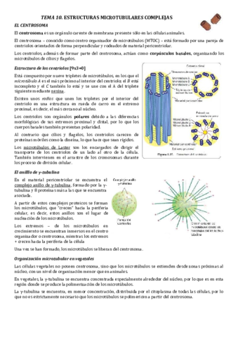 T10-Estructuras-microtubulares-complejas.pdf