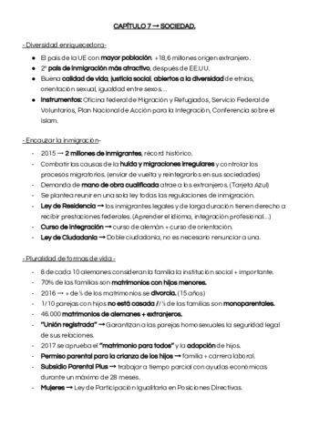 CAPITULO-7-SOCIEDAD.pdf