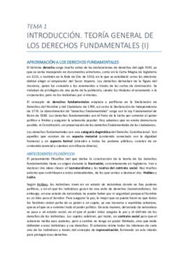 Tema 1. Teoría general de los derechos fundamentales (I).pdf