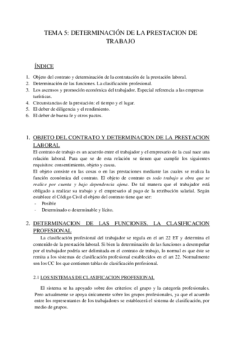 TEMA-5.pdf