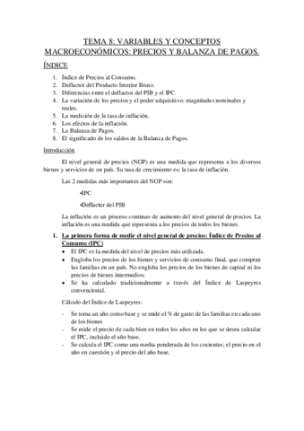 TEMA-8-economia.pdf