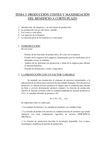 TEMA-5-economia.pdf