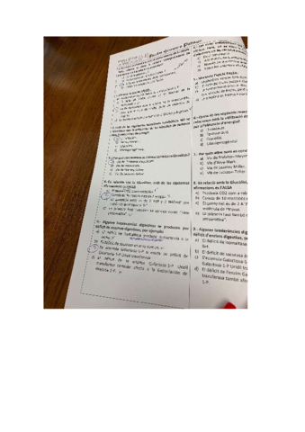 Examen-bioquimica-2convocatoria-2019.pdf