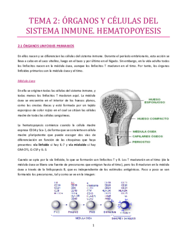 TEMA-2-Inmuno.pdf