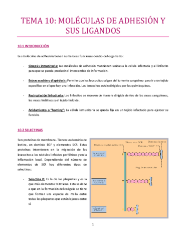 TEMA-10-Inmuno.pdf