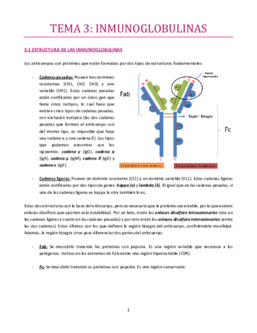TEMA-3-Inmuno.pdf