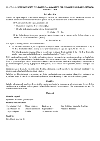 Practica-1-Resuelta.pdf