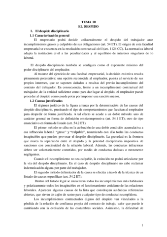 TEMA 12 EL DESPIDO (IMPORTANTE).pdf