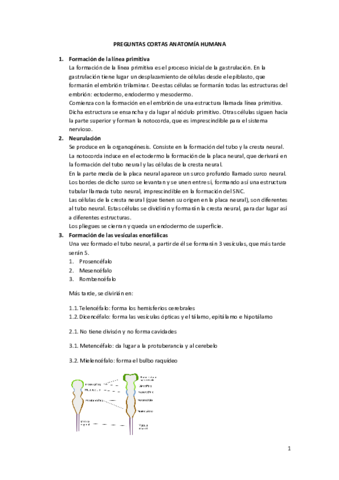 PREGUNTAS-CORTAS-ANATOMIA-HUMANA-convertido.pdf