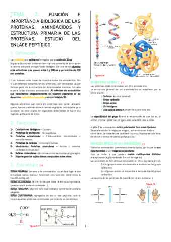 TEMA-2.pdf