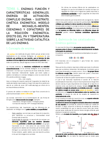 TEMA-4.pdf