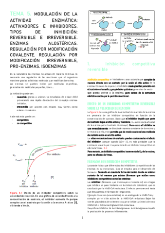 TEMA-5.pdf