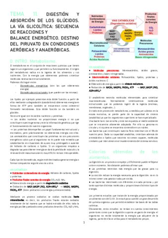 TEMA-11.pdf