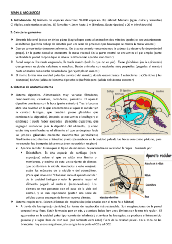 TEMA-5-fauna.pdf