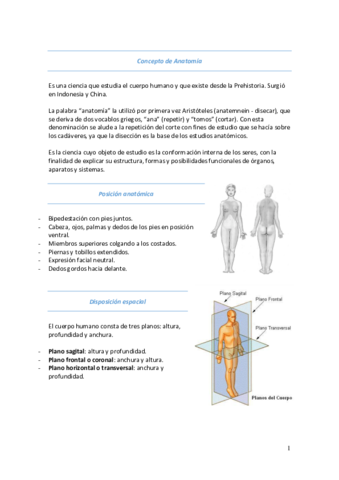 Anatomía.pdf