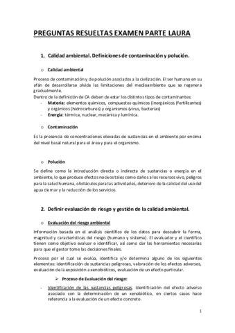 PREGUNTAS-EXAMEN-LAURA.pdf