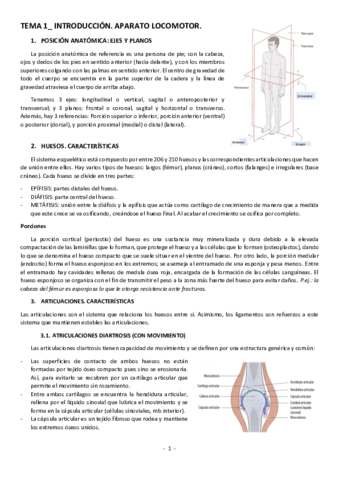 Apuntes-completos-Anatomia.pdf