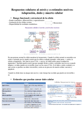 2º parcial de fisiopatología.pdf