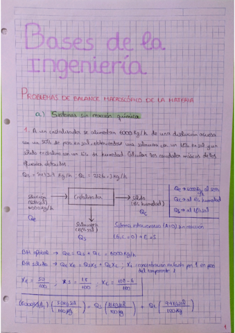 Bases-de-la-ingenieria-problemas.pdf