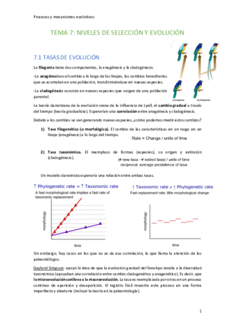 Tema-7-Niveles-de-Seleccion-y-Evolucion.pdf