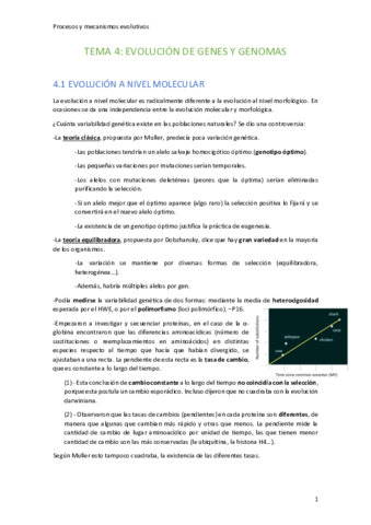 Tema-4-Evolucion-de-genes-y-genomas.pdf