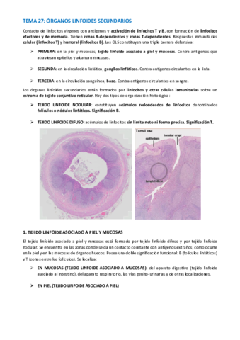 TEMA-HISTOLOGIA-134-141.pdf