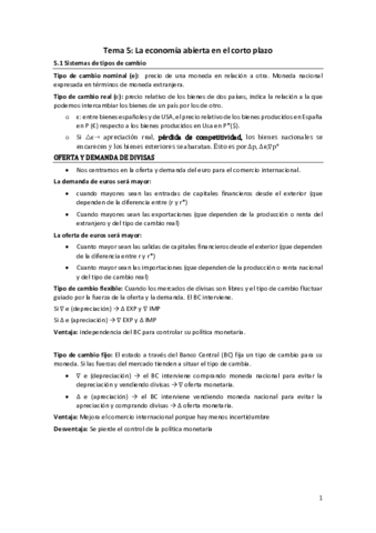 TEMA-5-La-economia-Abierta-en-CP.pdf