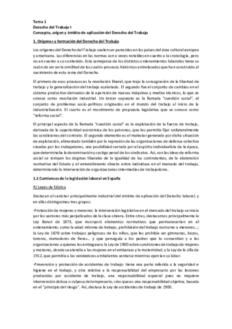 Tema-1-Laboral-I-pdf.pdf