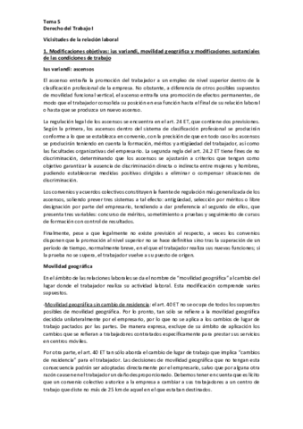 Tema-5-Laboral-I-pdf.pdf
