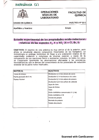 PL-Inorganica-QI2-Corregida.pdf