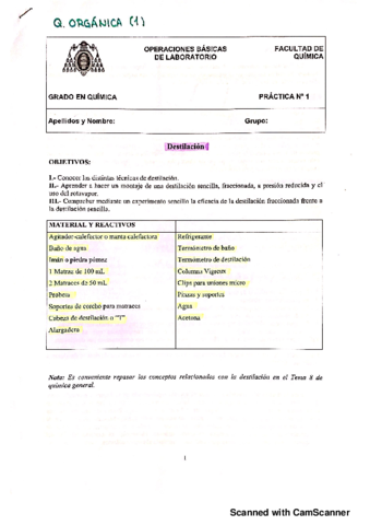 PL1-Organica-Corregida.pdf