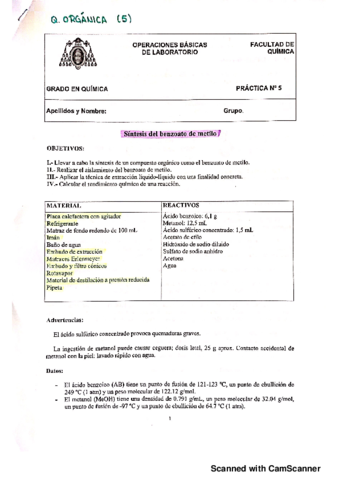 PL5-Organica-Corregida.pdf