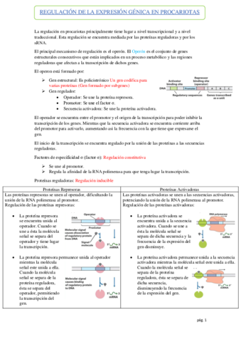 REGULACION-DE-LA-EXPRESION-GENICA-EN-PROCARIOTAS.pdf