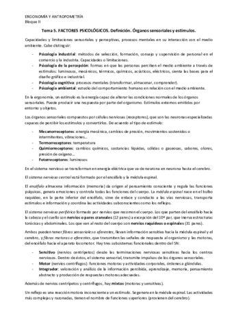 Tema 5 y 6.pdf