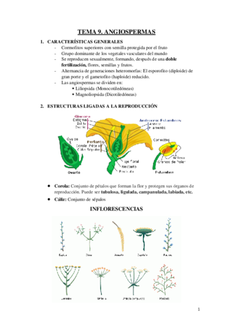 RESUMENES-BOTANICA-9-13.pdf