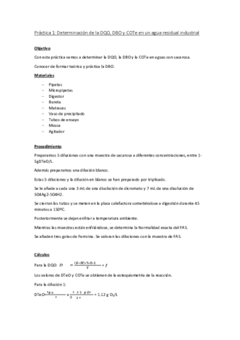 PRACTICA-1-RESUELTA.pdf