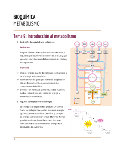 Metabolismo.pdf