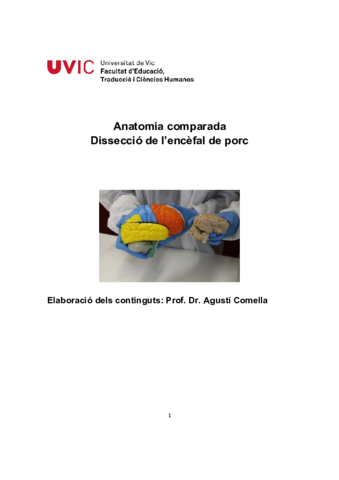 DisseccioEncefalGrau.pdf