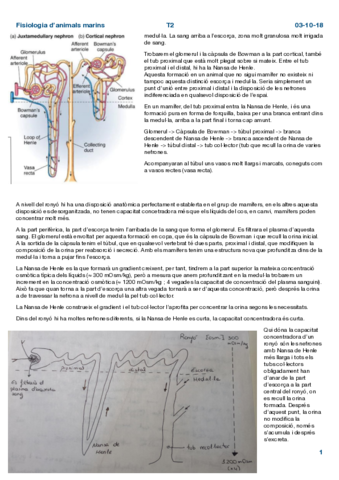 Fisio-Tema-2.pdf