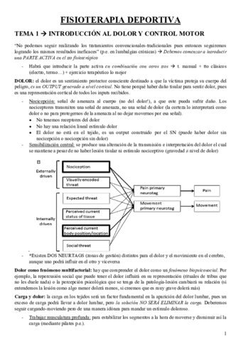 DEPORTIVA.pdf