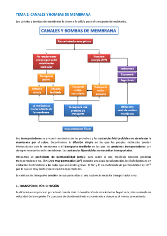 TEMA-BIOQUIMICA-6-9.pdf