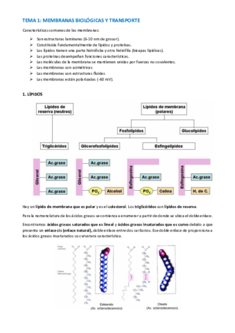 TEMA-BIOQUIMICA-1-5.pdf