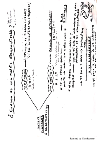 apuntes-y-examenes.pdf