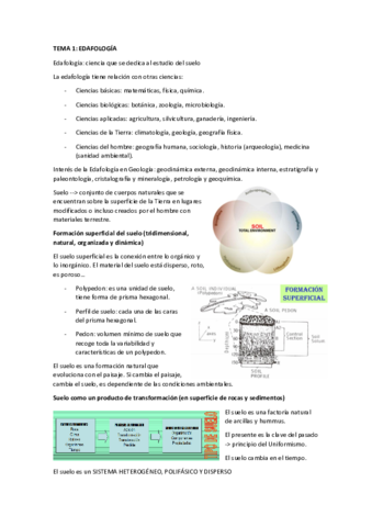 Tema-1.pdf