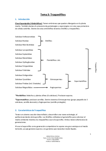 Tema 3 - Traqueófitos.pdf