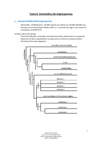 Tema 6 - Sistemática de Angiospermas.pdf