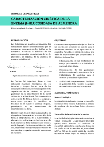 INFORME-DE-PRACTICAS-.pdf