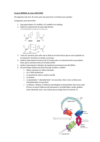 Examen-de-Enero-2019-20.pdf